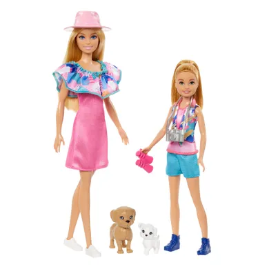 Barbie, Stacie si Barbie, set de 2 papusi cu accesorii