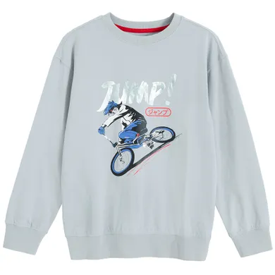 Cool Club, Bluza cu maneca lunga pentru baieti, gri