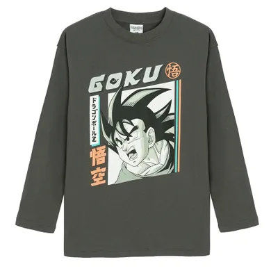 Cool Club, Bluza cu maneca lunga pentru baieti, gri, Dragon Ball
