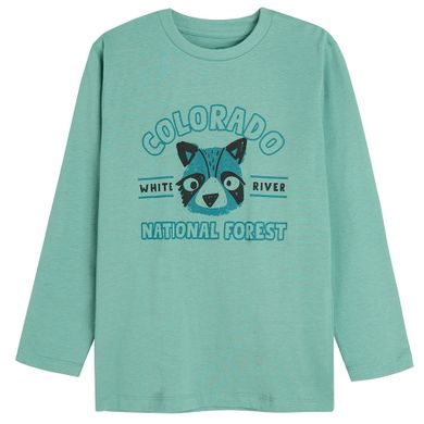 Cool Club, Bluza cu maneca lunga pentru baieti, turcoaz, imprimeu Colorado