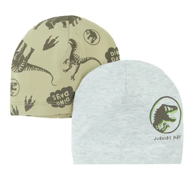 Cool Club, Caciula pentru baieti, gri, verde, imprimeu Jurassic World, set, 2 buc.