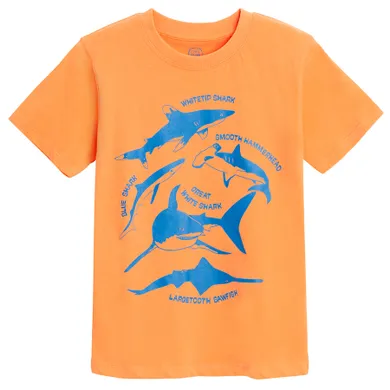 Cool Club, Tricou pentru baieti, portocaliu
