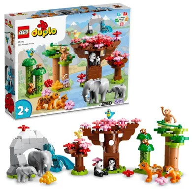 LEGO DUPLO, Animale salbatice din Asia, 10974