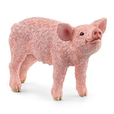 Schleich, Farm World, Porculet, figurina, 13934