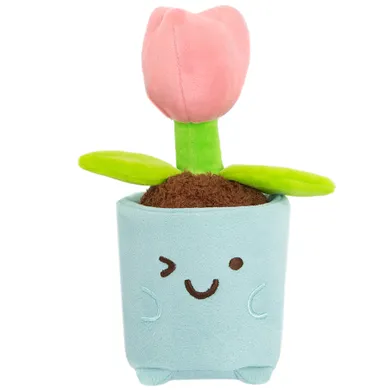 Smiki, Lalea, planta de plus in ghiveci, pentru replantare