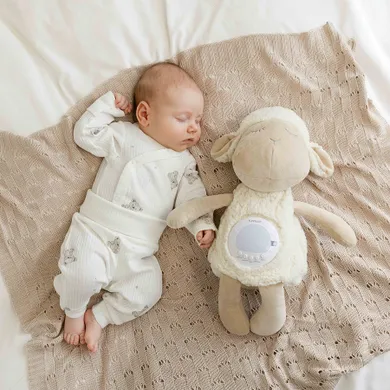 Smiki, Little Dreamer, Oita, proiector de stele din plus