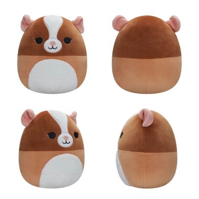 Squishmallows, Garret Brown & White Guinea Pig, jucarie de plus, 19 cm