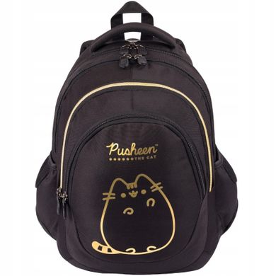 St.Right, Pusheen, rucsac pentru scoala, cu 4 compartimente, Gold