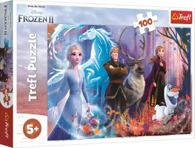 Trefl, Frozen 2, Magia Frozen, puzzle, 100 piese