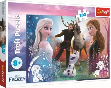 Trefl, Frozen 2, Timp magic, puzzle, 300 piese