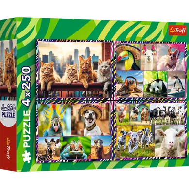 Trefl, Funny animals, puzzle, 4-250 piese