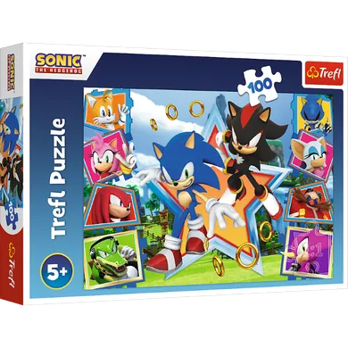 Trefl, Sonic, puzzle, 100 piese
