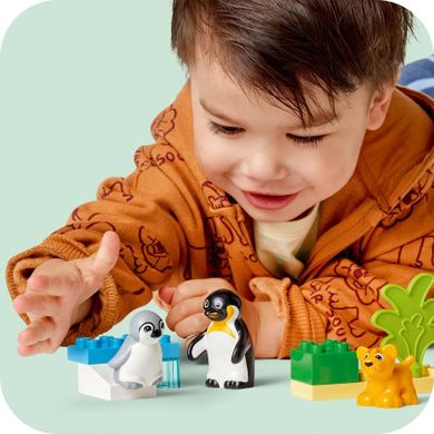 LEGO DUPLO, Familii de animale salbatice: Pinguini si lei, 10442