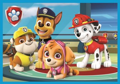 Trefl, Paw Patrol, puzzle 10in1, 329 piese