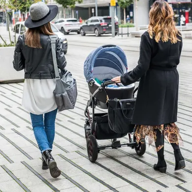 BabyOno, Coco, geanta pentru carucior