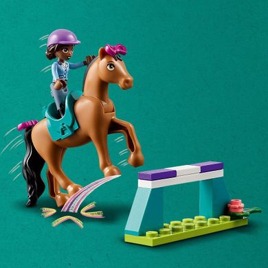 LEGO Friends, Dresaj pentru cai, 41746