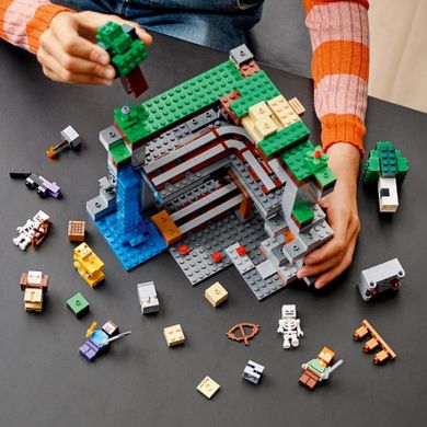 LEGO Minecraft, Prima aventura, 21169