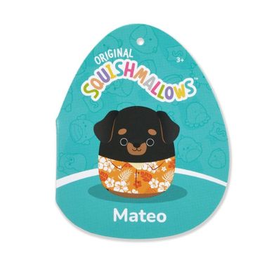 Squishmallows, Mateo, jucarie de plus, 19 cm