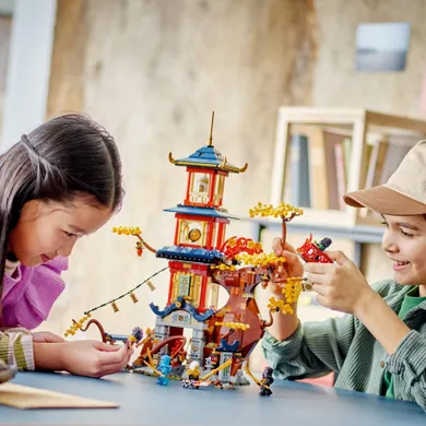 LEGO NINJAGO, Nucleele energetice din Templul Dragonului, 71795