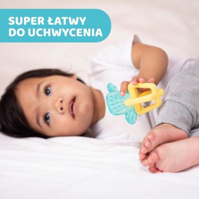 Chicco, Cactus, jucarie de dentitie cu apa