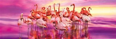 Clementoni, Panorama, Flamingo dance, puzzle, 1000 piese