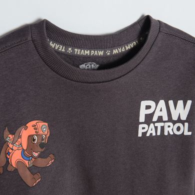 Cool Club, Bluza cu maneca lunga pentru baieti, gri, imprimeu Paw Patrol
