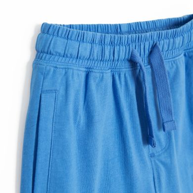 Cool Club, Pantaloni scurti pentru baieti, albastru