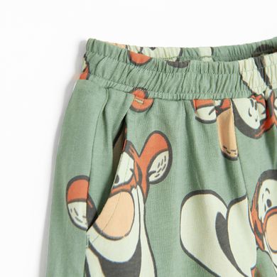 Cool Club, Pantaloni scurti pentru baieti, verde, imprimeu Winnie the Pooh