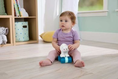 Fisher-Price, Crawl After Polar Bear, jucarie pentru bebelusii