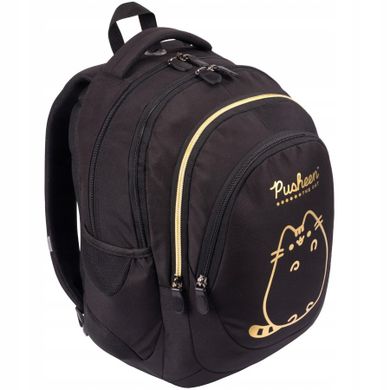 St.Right, Pusheen, rucsac pentru scoala, cu 4 compartimente, Gold