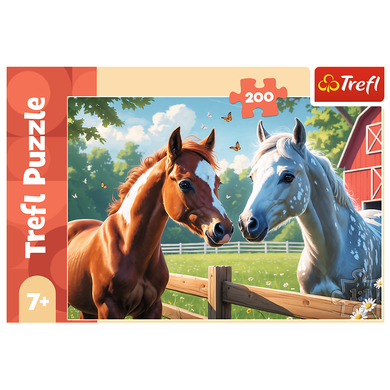 Trefl, Horses, puzzle, 160 piese