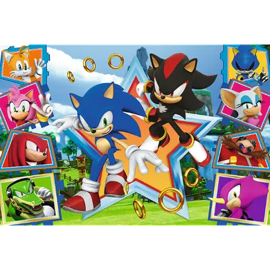 Trefl, Sonic, puzzle, 100 piese