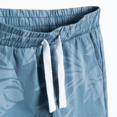 Cool Club, Pantaloni scurti pentru baieti, albastru, gri, set, 2 buc.