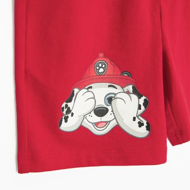 Cool Club, Pantaloni scurti pentru baieti, rosu, imprimeu Paw Patrol