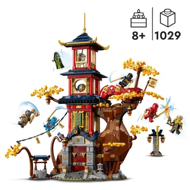 LEGO NINJAGO, Nucleele energetice din Templul Dragonului, 71795