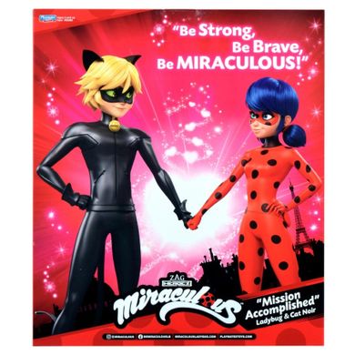 Miraculous, papusi Ladybug si Cat Noir, 30 cm
