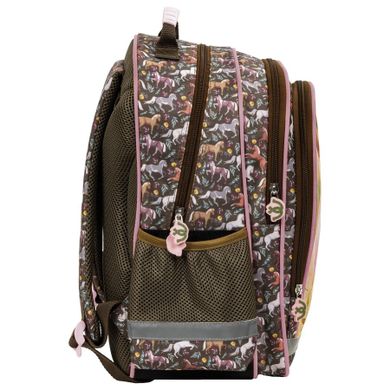 Rucsac, cai