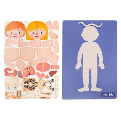 Smiki, Anatomia umana, joc de potrivire magnetic