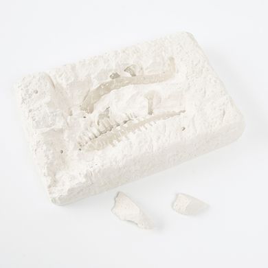 Smiki, Schelet stralucitor, Brachiosaurus, kit excavare, set de stiinta