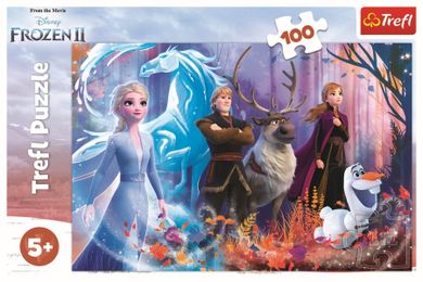 Trefl, Frozen 2, Magia Frozen, puzzle, 100 piese