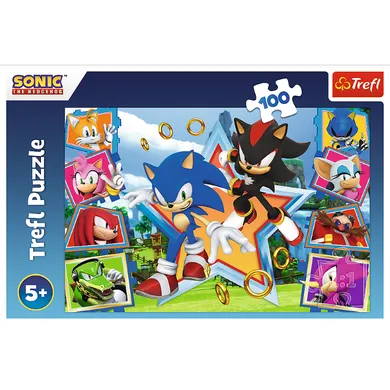 Trefl, Sonic, puzzle, 100 piese