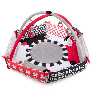 Canpol babies, Sensory Toys, saltea de joaca senzoriala