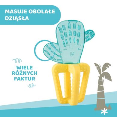 Chicco, Cactus, jucarie de dentitie cu apa