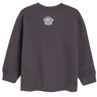 Cool Club, Bluza cu maneca lunga pentru baieti, gri, imprimeu Paw Patrol