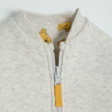 Cool Club, Hanorac pentru baieti, cu fermoar, cu doua fete, gri, imprimeu Winnie the Pooh