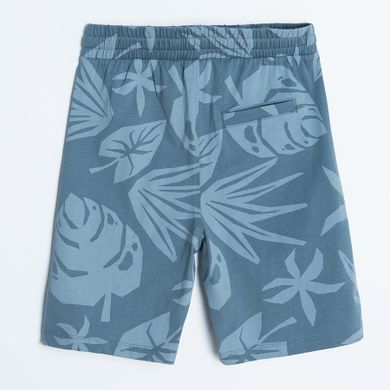 Cool Club, Pantaloni scurti pentru baieti, albastru, gri, set, 2 buc.