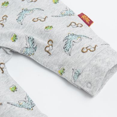 Cool Club, Set pentru baieti, pijama tip salopeta, baveta, gri-bordo, imprimeu Harry Potter