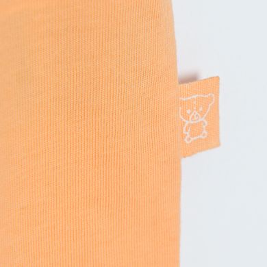 Cool Club, Set pentru baieti, Tricou, Pantaloni scurti, portocaliu-gri