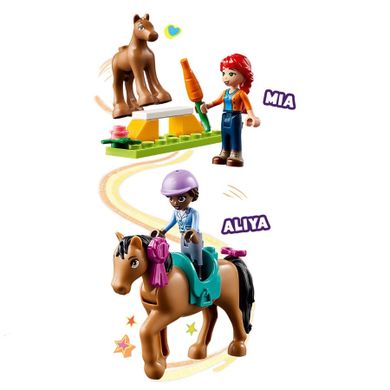 LEGO Friends, Dresaj pentru cai, 41746