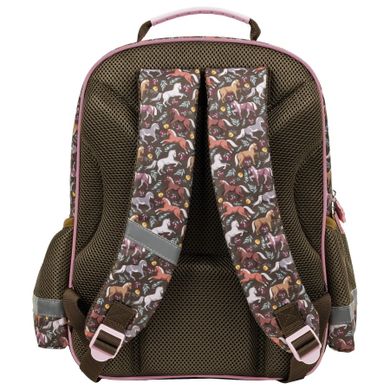 Rucsac, cai